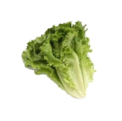 グリーンリーフ