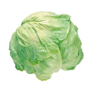 早生キャベツ