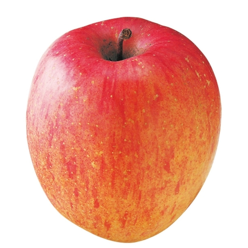 りんご　赤