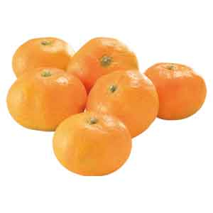 平野農園の河内みかん