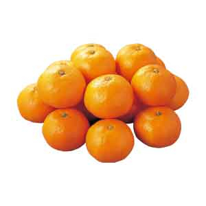 みかんネット（２ｋｇ）