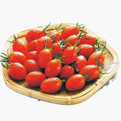 アイコトマト　徳用