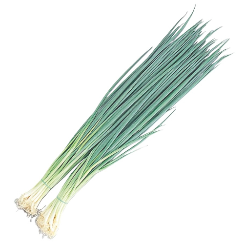 福岡県産次郎ねぎ（小ネギ）