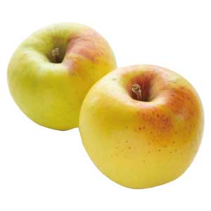 葉とらずぐんま名月お買得袋