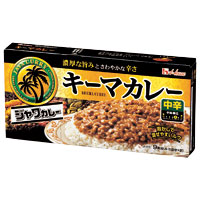 ハウス　ジャワカレーキーマカレー中辛　１７６ｇ