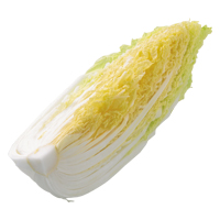 各地産　白菜　1/4カット