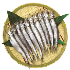 岡田水産 子持ししゃも6尾